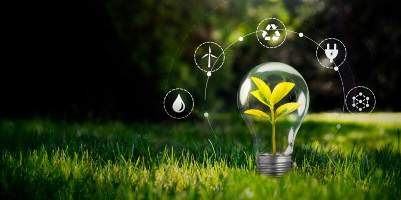 El peligro del ecoblanqueo técnico: ¿Puede una traducción inexacta arruinar tu estrategia de sostenibilidad global?