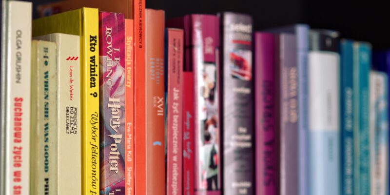 El impacto de la traducción literaria profesional en la internacionalización de un catálogo editorial